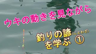 海上釣堀「ウキの動きを見ながら釣りの諺を学ぶ①」