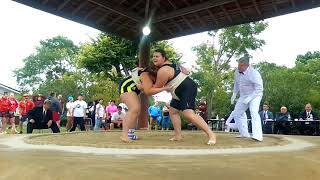 13th Oct.2019 World Sumo Chanpionships preliminaries women 104036