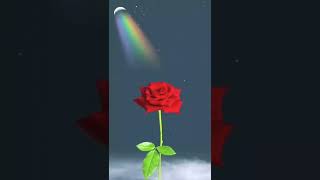 Happy rose day😃 || rose day WhatsApp status  #shorts  #rose  #valentine  #viral