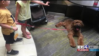 Family raises money for autism support dog