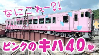 【SAKU美SAKU楽】これは反則ー！めちゃ可愛いピンクになったキハ40❤️急行砂丘を想う津山線の旅