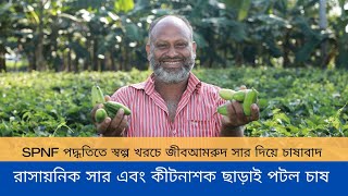 SPNF পদ্ধতিতে জীবআমরুদ সার দিয়ে পটল চাষ  বেশ  লাভজনক ।  প্রয়োজন নেই কোন  রাসায়নিক সার এবং কীটনাশকের