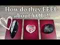 😍🌟 Their CURRENT FEELINGS for You!? 💖💗🫢✨🔮 Pick A Card Love Tarot Reading *DETAILED