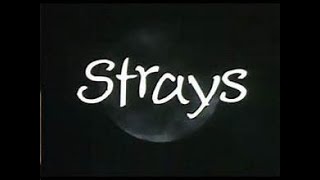 Strays-(2024 Storyboard)- Complete Film