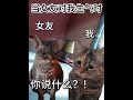 当女友与我生气了… 情侣 话题 生气 话题 情侣日常 话题 情侣吵架 话题 猫咪对话 话题 猫meme 猫 感情 话题 恋爱 话题 恋爱日常 话题 搬運