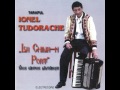 ionel tudorache căpitane de județ