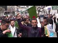 algerian lawyers stage protest over lack of promised reforms