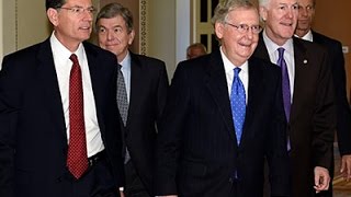 Raw: McConnell Chosen by GOP As Majority Leader