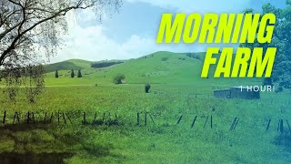 Chill Sounds - 1 hour of morning farm ambient sounds