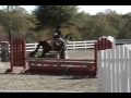 nobilo cooper horse show 11 7 07