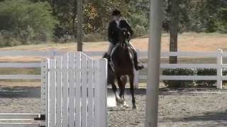 Nobilo (Cooper)-horse show 11-7-07