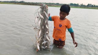 অবাক কান্ড বর্ষাকালে বিদ্যুৎ চমকালে জোয়ারের পানির সাথে প্রচুর গুনশে টেংরা দেখা যায় জালে..2023