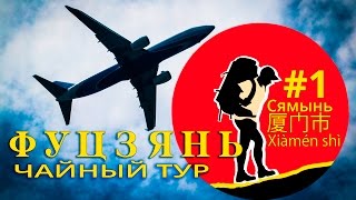 [Чайное дерево] Фуцзянь Китай.  Сямынь 安溪县  #1