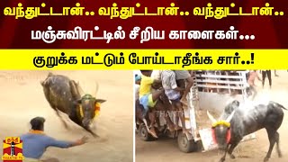 மஞ்சுவிரட்டில் சீறிய காளைகள்... குறுக்க வந்து குத்து வாங்கிய 27 பேர்.. | Sivaganga