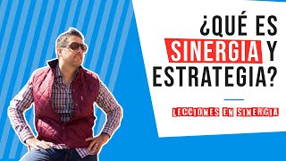 ¿Para que sirve la Sinergia? Explicación a un niño