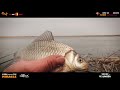 풍낚tv 붕어낚시 6치부터46까지 개체수가많은토종터 cinematic fishing vlog