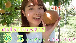 #26 埼玉県ならではの梨って知ってる？