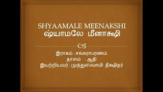 SHYAMALE MEENAKSHI - ஷ்யாமலே மீனாக்ஷி - YATHUNANTHINI