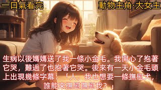 【動物主角·大女主】生病以後媽媽送了我一條小金毛。我開心了抱著它哭，難過了也抱著它哭。後來有一天小金毛頭上出現幾條字幕：「人，我也想要一條撫慰犬，誰能來撫慰撫慰我？」