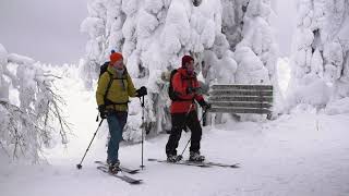 Winter Trip to Riisitunturi National Park at Ruka Kuusamo