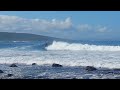 bokkom surf stilbaai iii