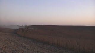 Iowa lost over half a million acres of farmland in five years, according to latest Agriculture Censu