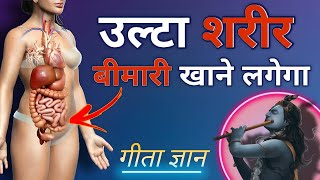 उल्टा आपका शरीर आपकी बीमारी खाने लगेगा |🧠 Activate Disease-Cure Mechanism of Body 🌱 कृष्ण गीता ज्ञान