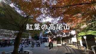 高尾山　紅葉　再掲　むかし歩き