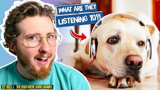 We Found Out What Music Dogs Actually Like