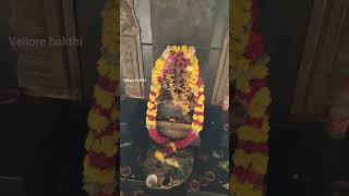 சத்ரு பயம் போக்கும் அக்னி வாராஹி தரிசனம்..