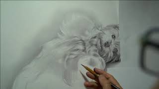 #dibujoalapiz #dibujoalapizpasoapaso #dibujoalapizfacil Dibujo a lapiz realista de un perro