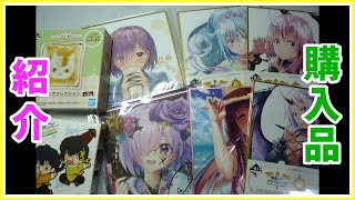 【グッズ紹介】　駿河屋で購入したアニメグッズ（FGO　マシュ　一番くじ　転スラ　リムル）などを紹介