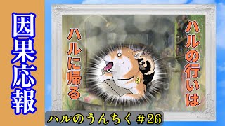 【因果応報】ハルの行いはハルに帰ってくる　ハルのうんちく＃26【世界の終わりに柴犬と】【アニメ】【漫画】