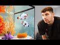 AMAZING Saltwater Fish Room!! [Tour]