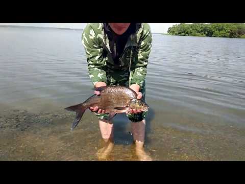 Рыбалка на Можайском водохранилище — отчеты и турбазы Рыбалка на Можайском водохранилище — отчеты и турбазы