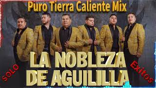 La Nobleza de Aguililla Mix 2024 🔥 Puro Tierra Caliente Mix 2024 🍻 Corridos Y Rancheras Perronas Mix