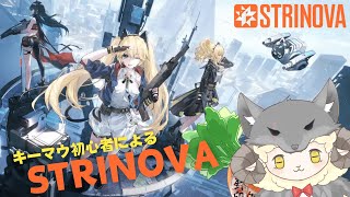 【Strinova】ヘタが下手なりに頑張る配信！楽しんだもん勝ちで(*'ω'*)