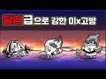 냥코대전쟁-라면의 길의 역사