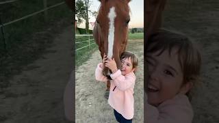 Special emotional links. #animals #cute #horse #girl #love #amazing #story #shorts #shortvideo