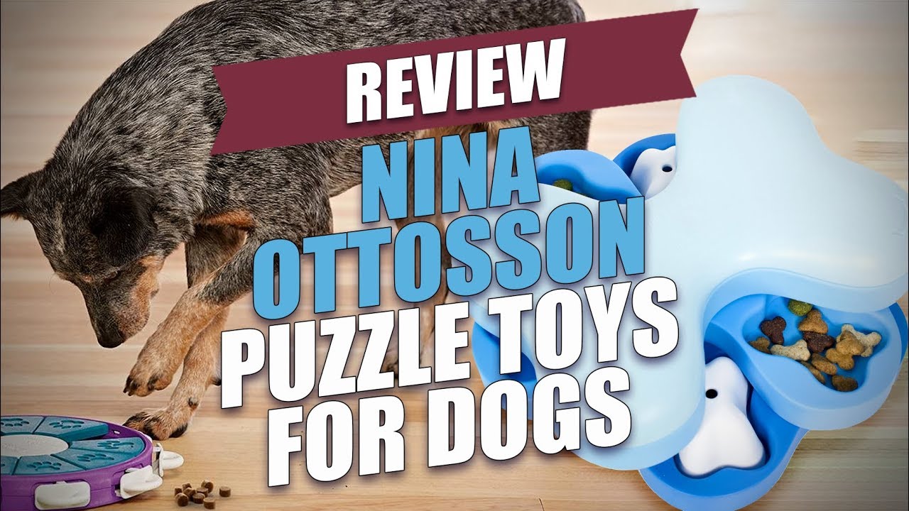 Review: Nina Ottosson Puzzle Toys For Dogs - YouTube