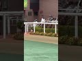 ☆第29回 エルムステークス gⅢ ☆ほぼ札幌競馬場2024☆no.110☆8月4日.札幌.11r☆ エルムステークス horse サラブレッド 馬 競馬場 札幌競馬場