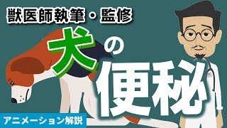 犬の便秘 症状について【獣医師執筆監修】症状から治療方法