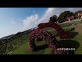 2022 1 13台中彰化落羽松秘境空拍穿越fpv mv 4k60p fearless motivation you are meant for greatness song mix epic