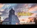 The Fruit Of Patience | Daily Devotion | The Divine Disciple
