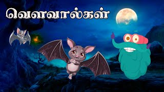 வௌவால்கள் பற்றிய சில சுவாரஸ்யமான தகவல்கள் | Bats Myth Busted | Dr.Binocs Show |Kids Learning Video