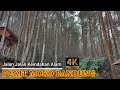 Jalan Jalan Pagi Bukit Moko Bandung - Walking Around Bandung 4K