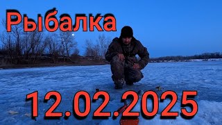 Рыбалка на поплавок 12 февраля 2025 г. на озере!Вечерний выход карася зимой – клюет как летом!