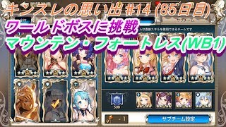 【キンスレ】おもいで#14 ワールドボスに挑戦(マウンテン・フォートレス)