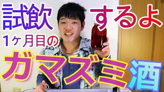 1ヶ月目のガマズミ酒を試飲しました!!