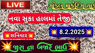 જીરા ના બજાર ભાવ / ગોંડલ જીરાના બજાર ભાવ / જીરું ના બજાર ભાવ / 8.2.2025